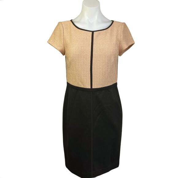 Ann Taylor Tan Black Colorblock Short Sleeve Knee Length Sheath Dress Size S - Picture 1 of 5